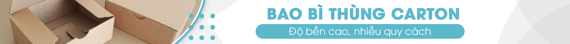 Bao bì thùng carton